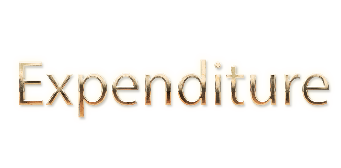 WORD EXPENDITURE gold text typography PNG images free